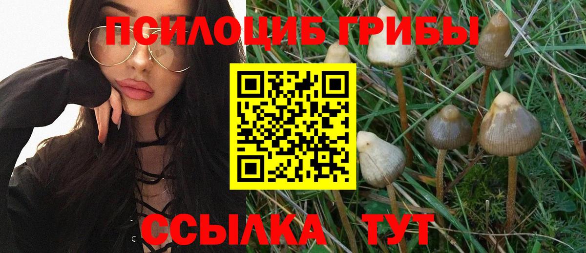 Галлюциногенные грибы Psilocybine cubensis  Вход с VPN  Белорецк  Галлюциногенные грибы прущие грибы 